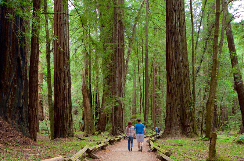 Guerneville